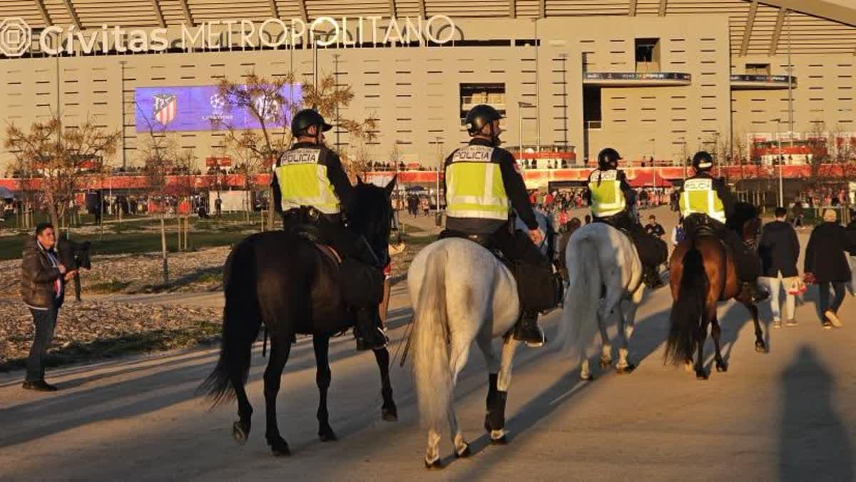 مدريد