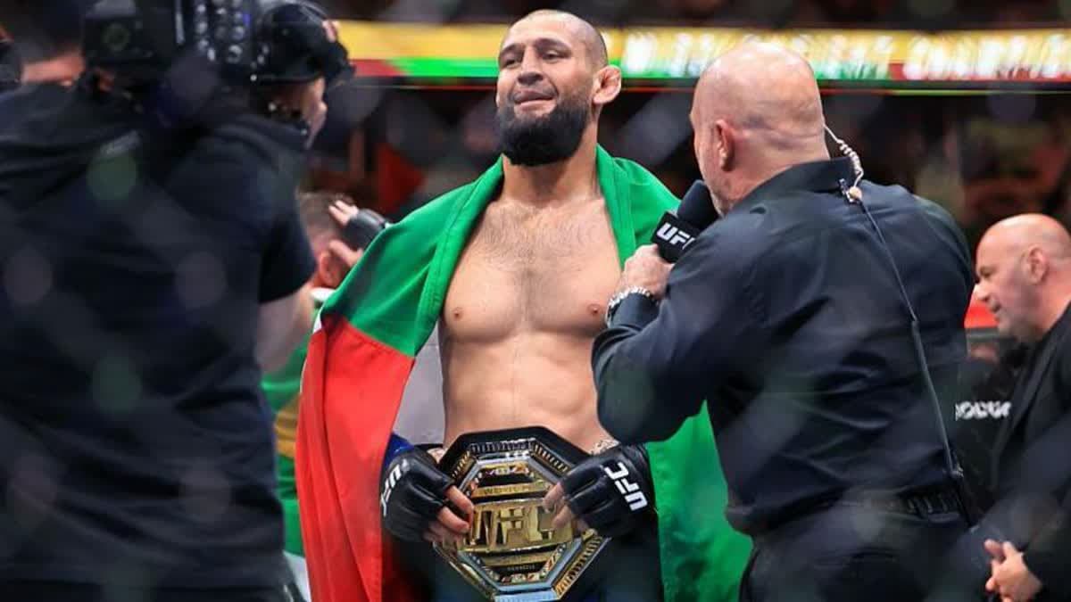 شيمايف