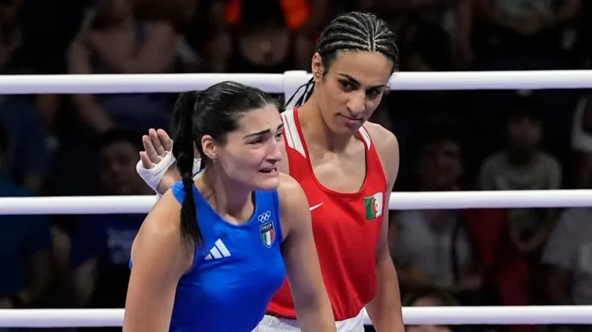 كاريني 