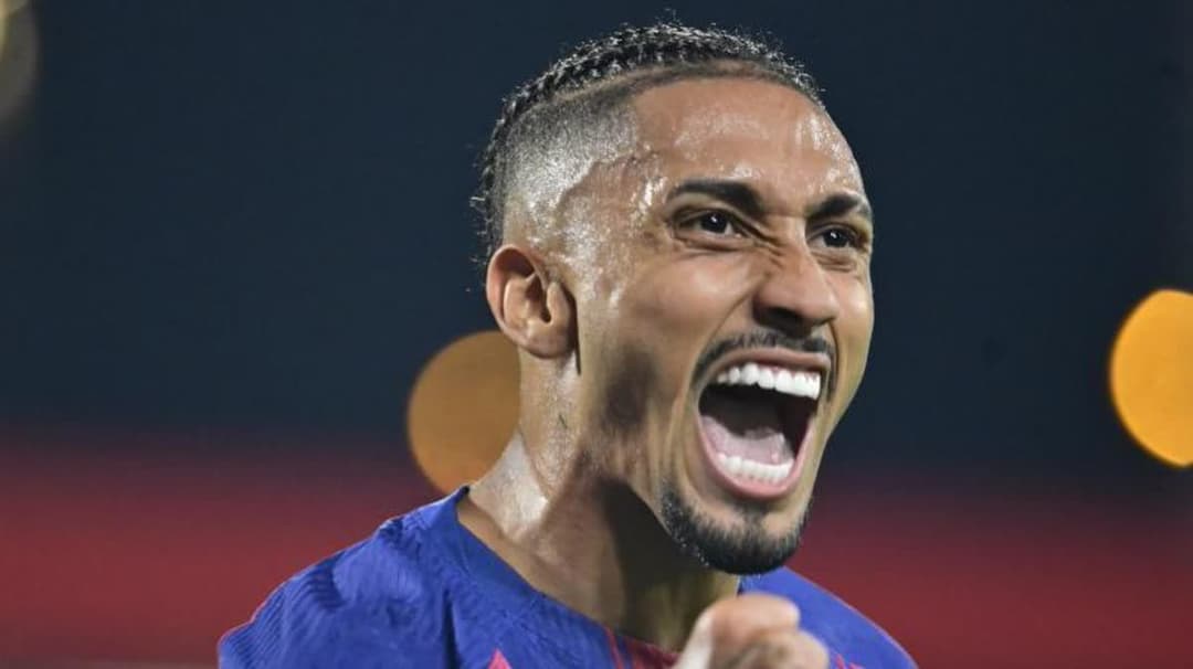 رافينها