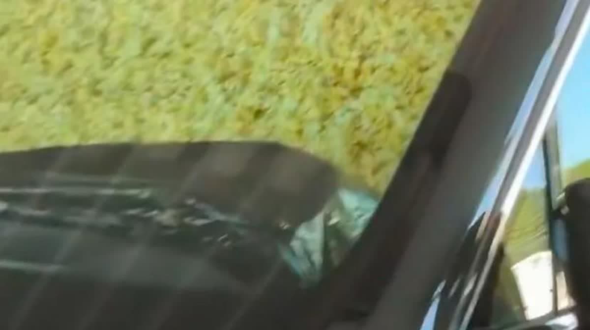 جويل إمبيد