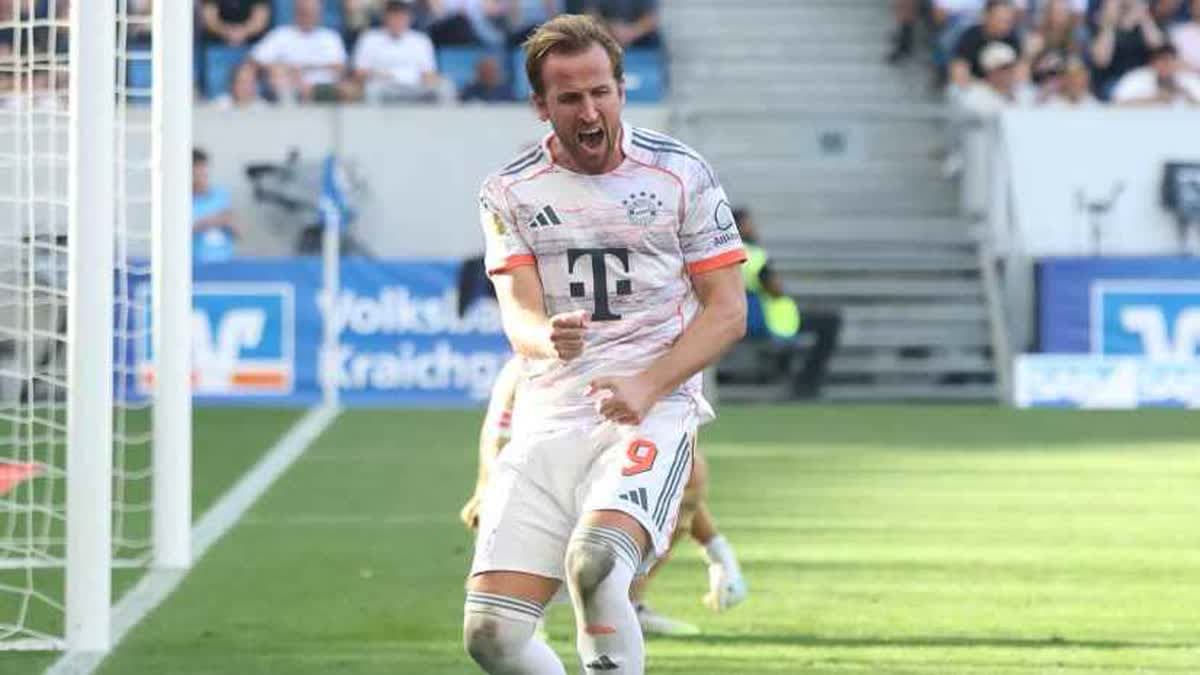 هاري كين