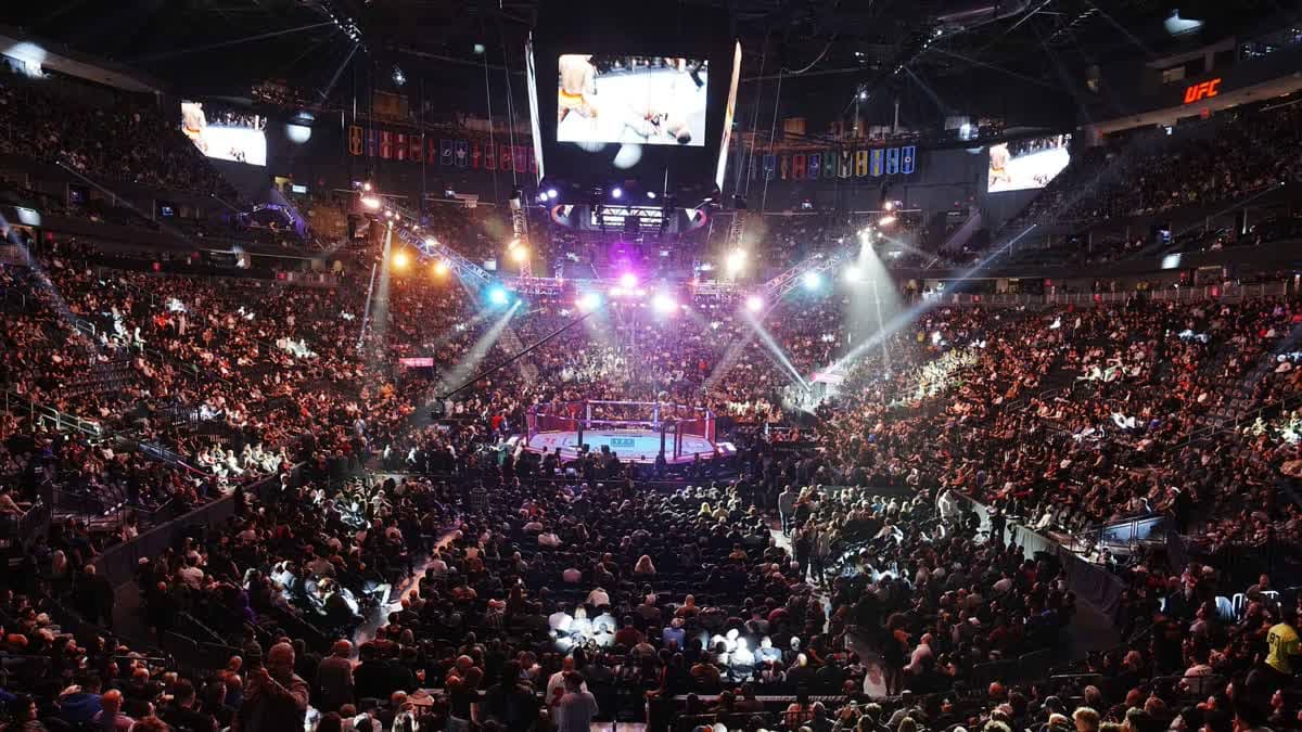 ufc 324