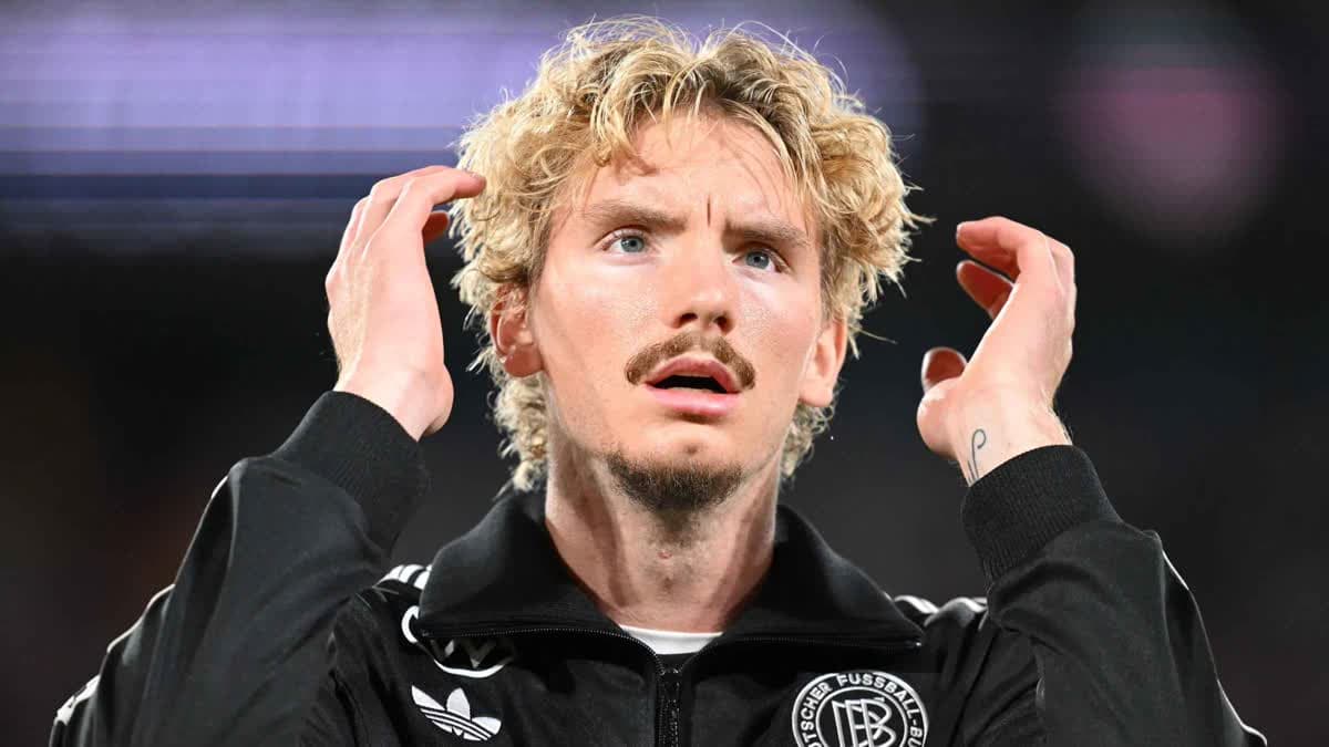 وولتيمادي