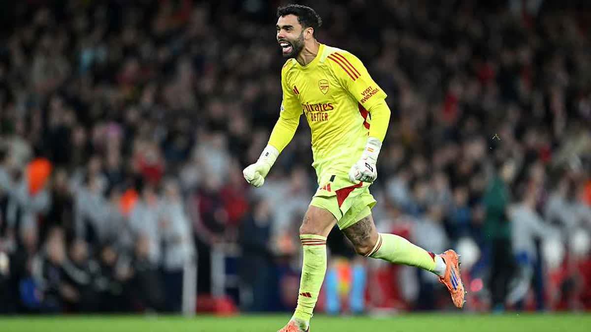 ديفيد رايا
