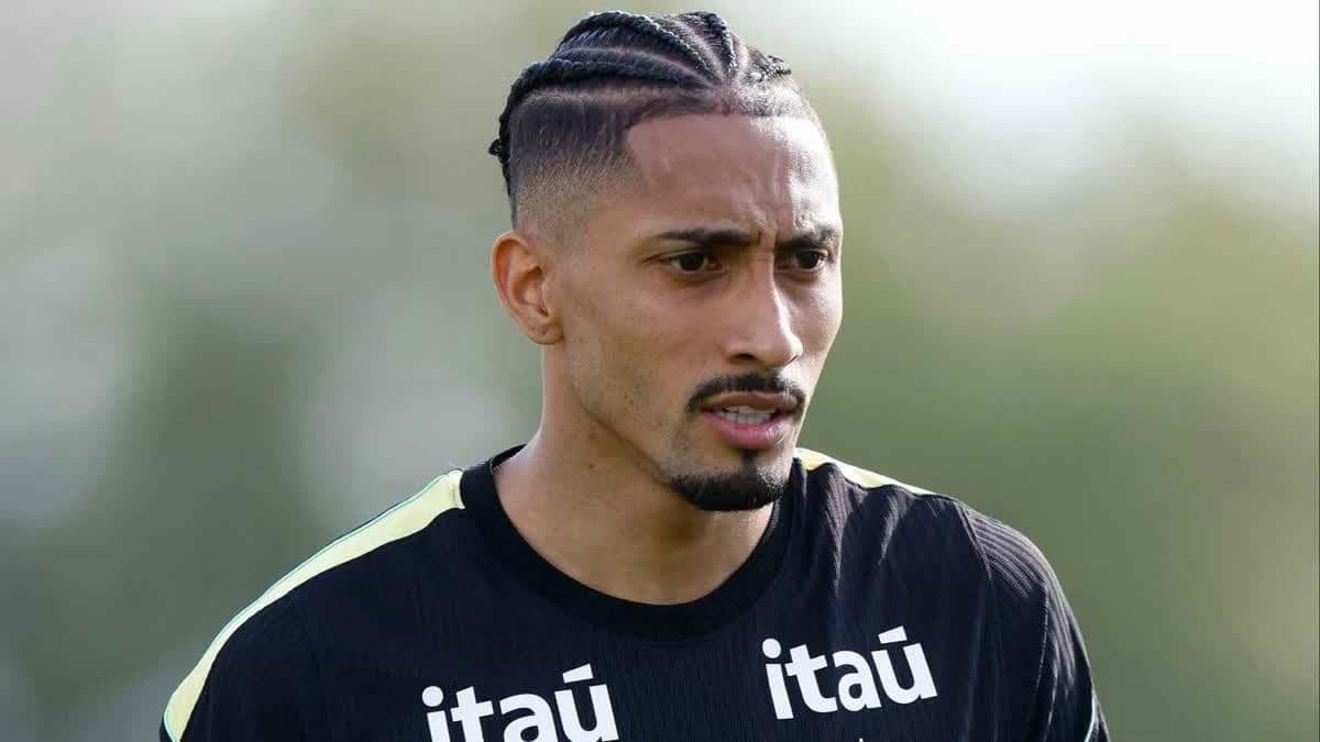 رافينيا