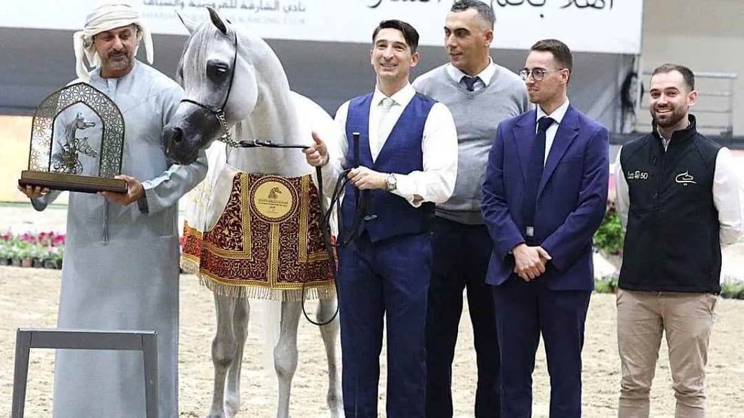 مربط دبي