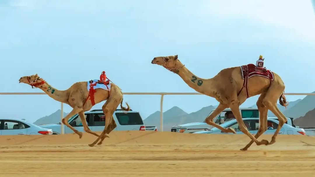 السعودية