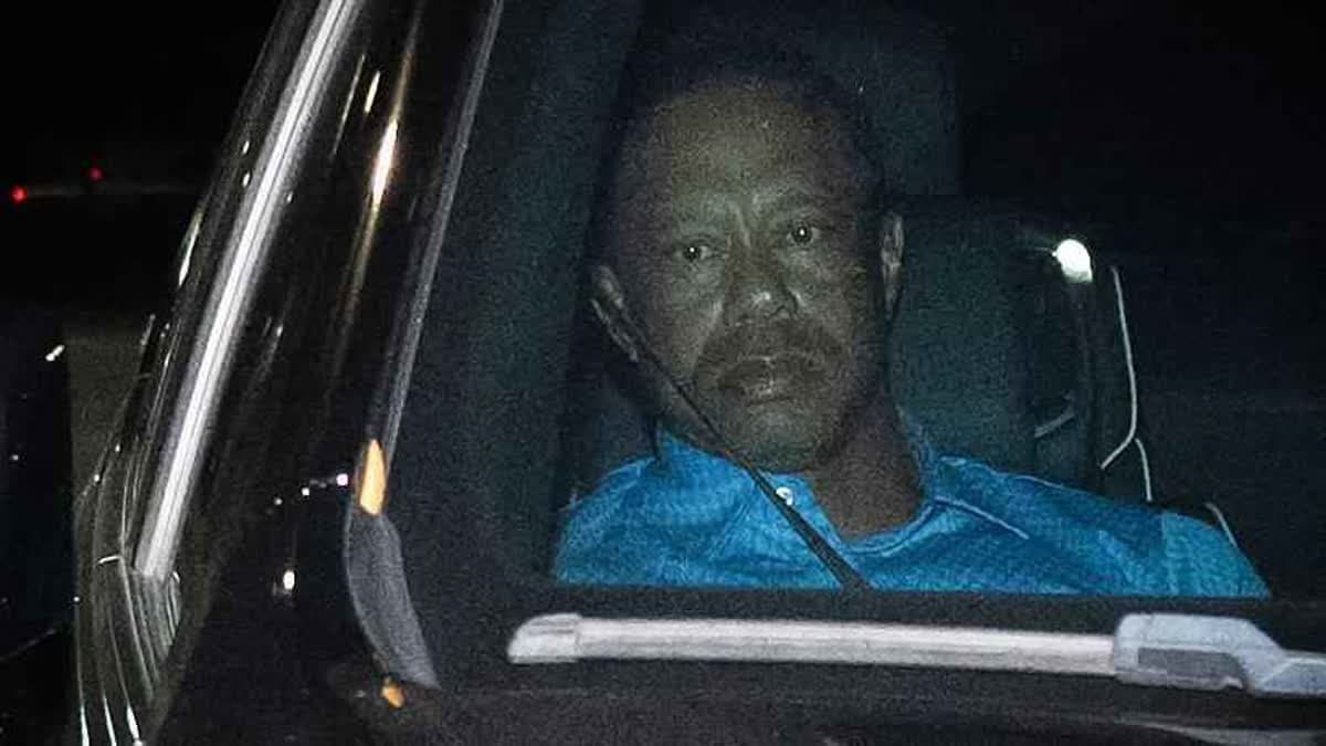 وودز