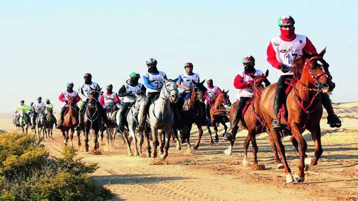 الإمارات - فروسية 