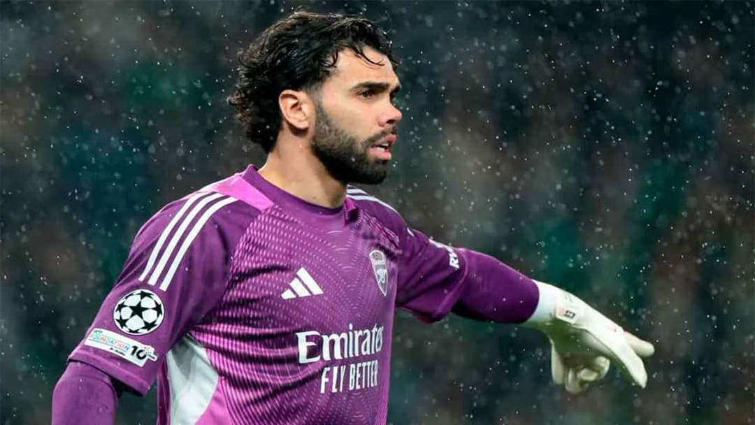 ديفيد رايا