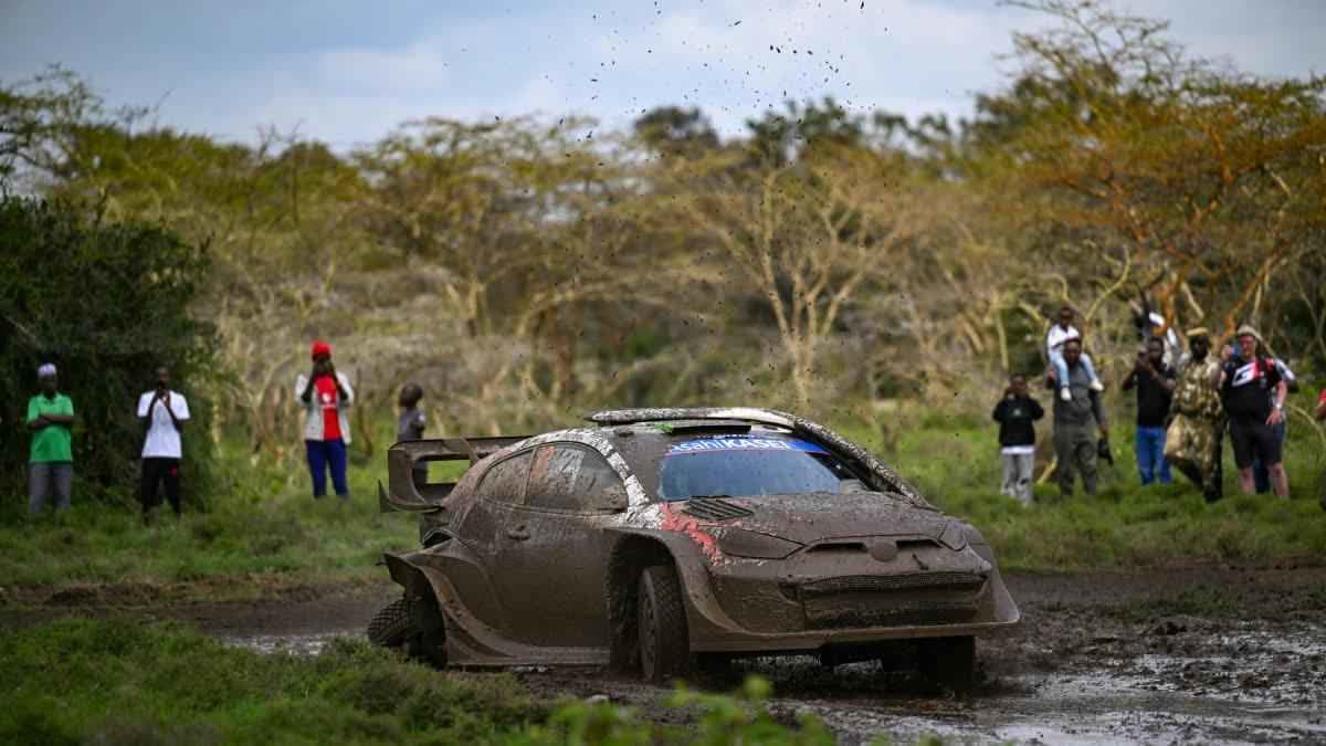 إلفين إيفانز