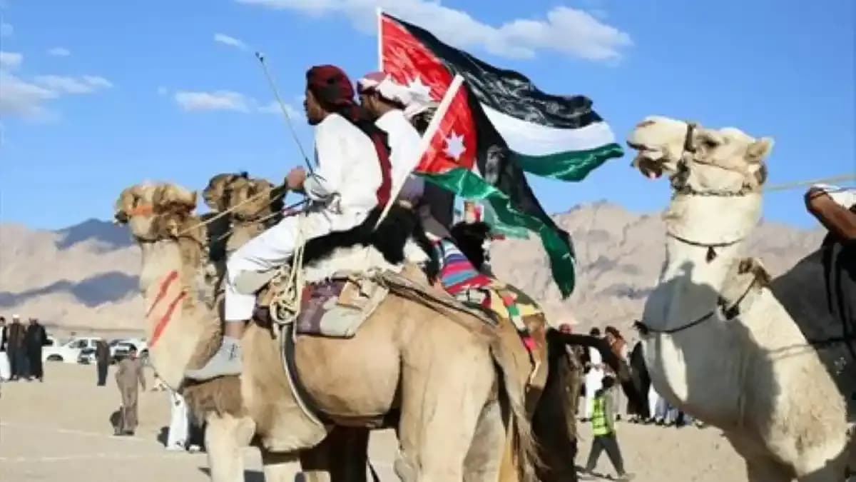 الهجن في الأردن