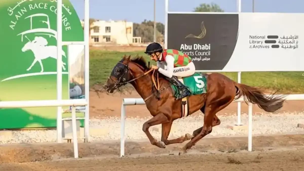 خيول ياس