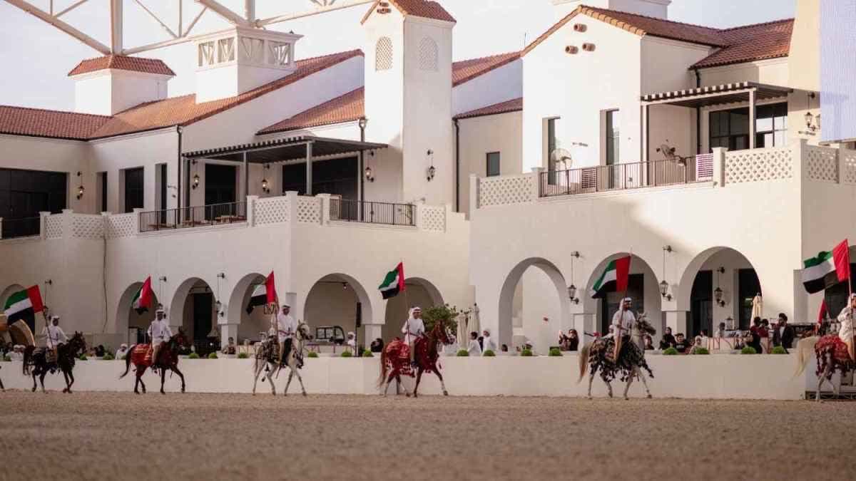 علم الإمارات