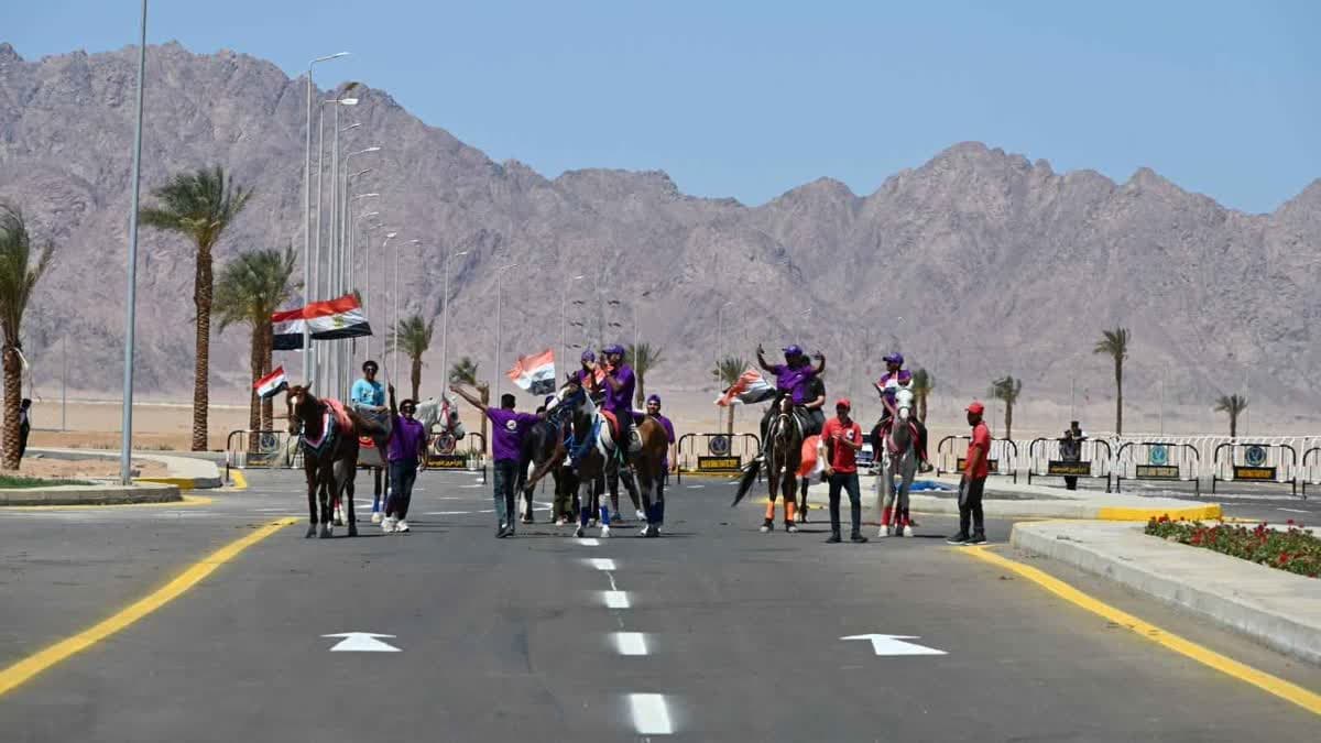 البطولة التنشيطية للهجن