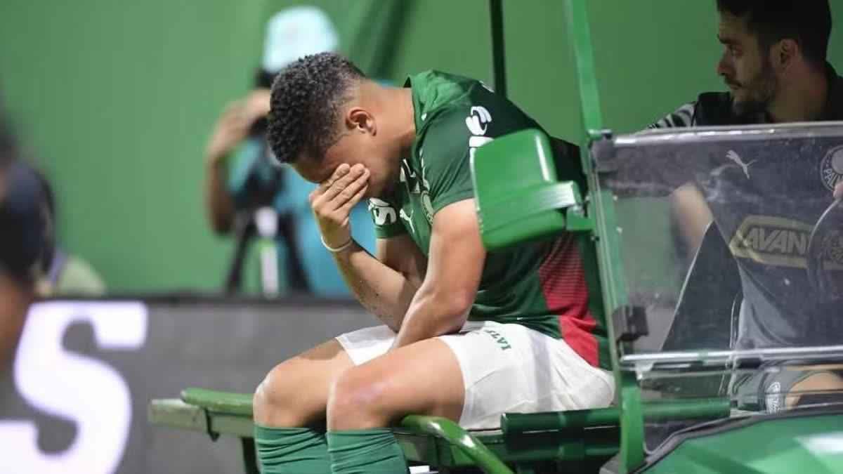 فيتور روكي