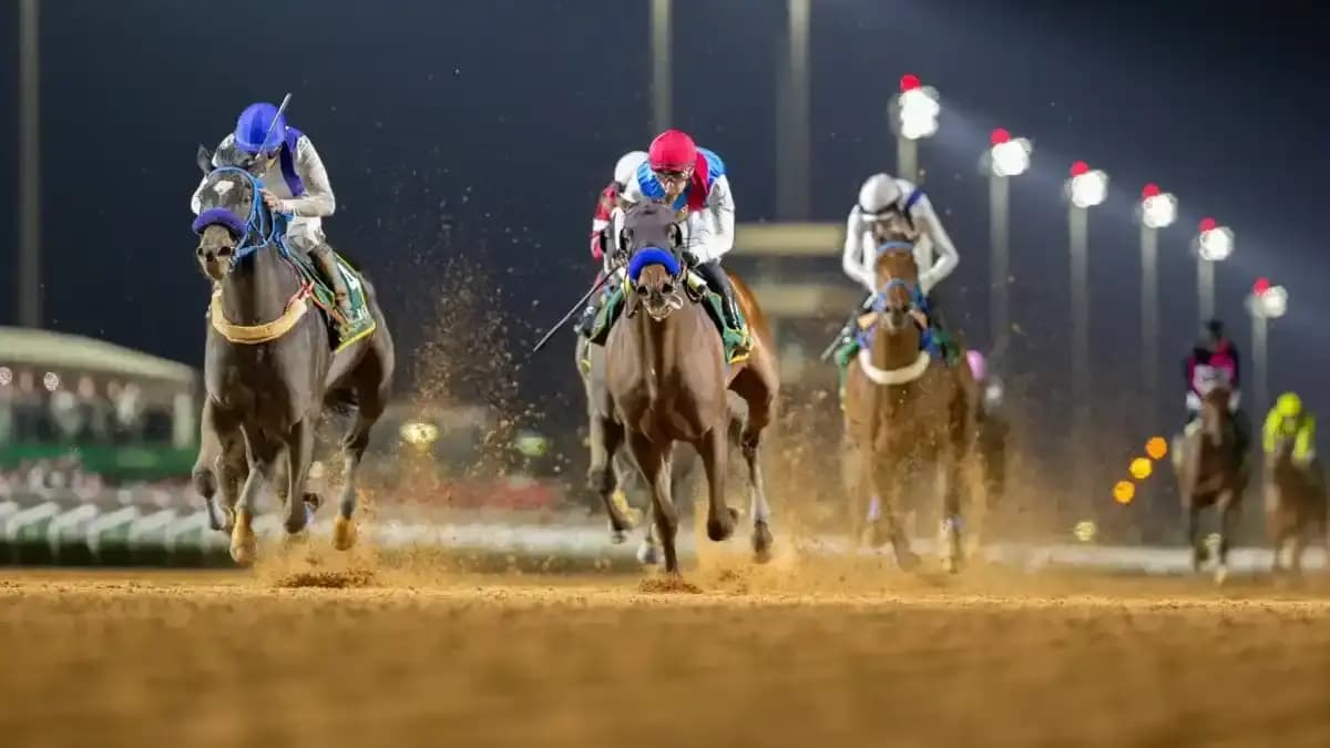 سباقات الخيل