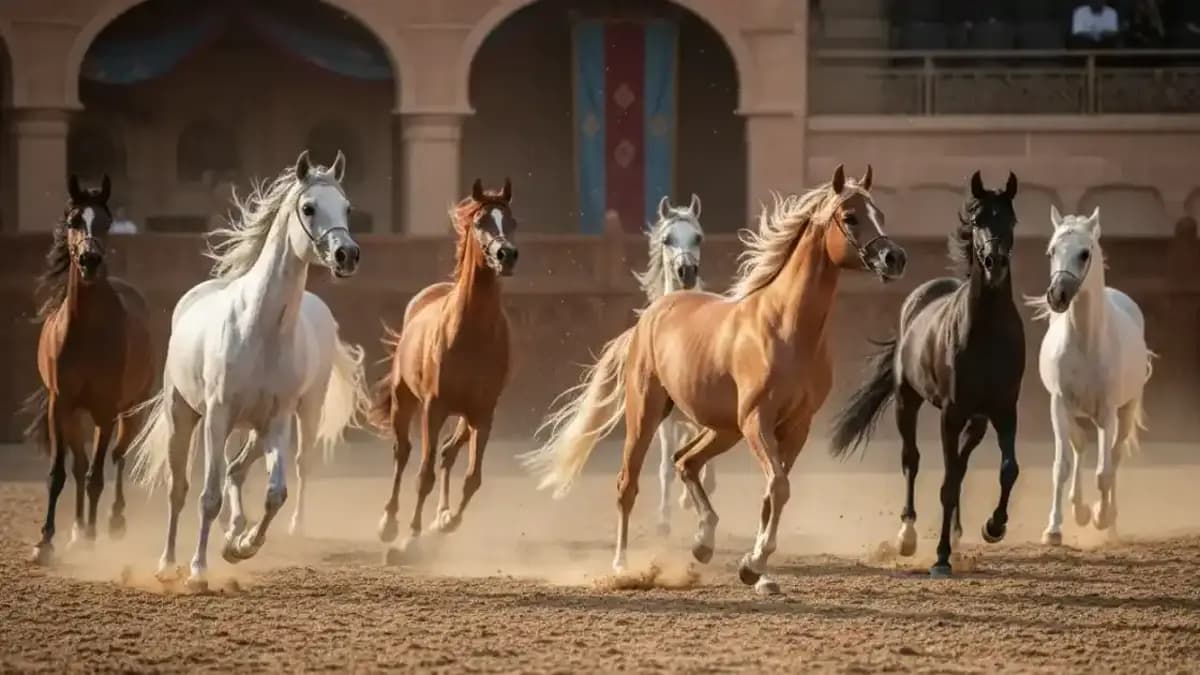 خيل الجزيرة
