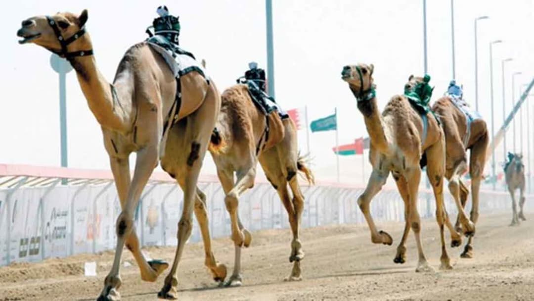 سباق المفاريد