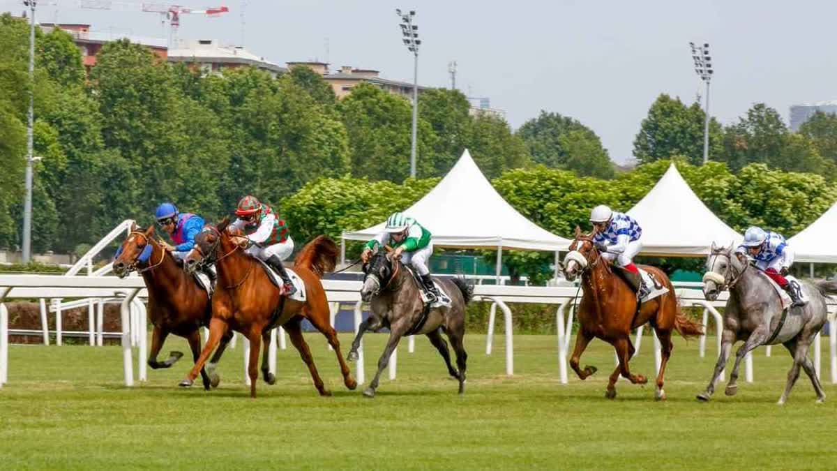كأس رئيس الدولة للخيول العربية