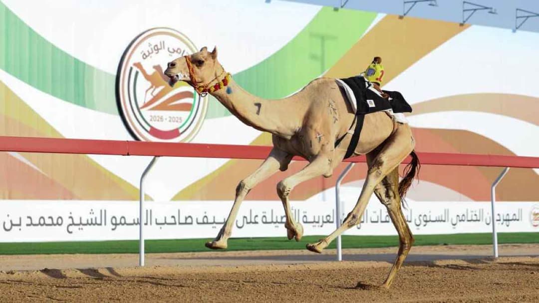 الطيارة