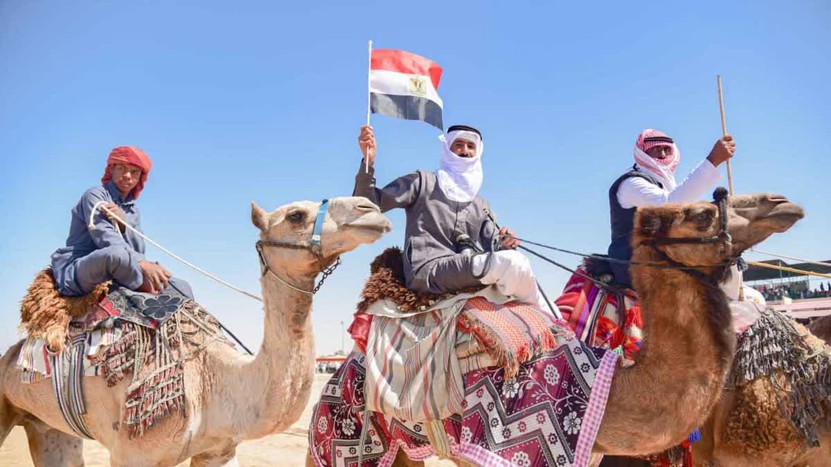سباق الهجن التنشيطي