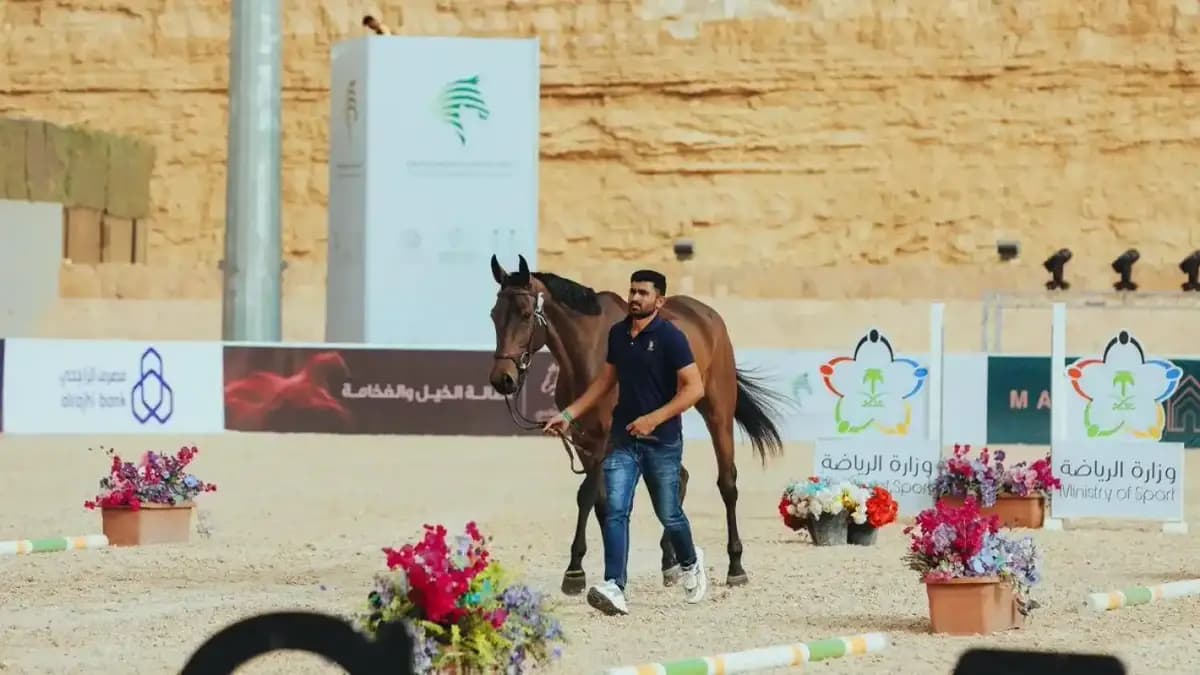 قفز الحواجز