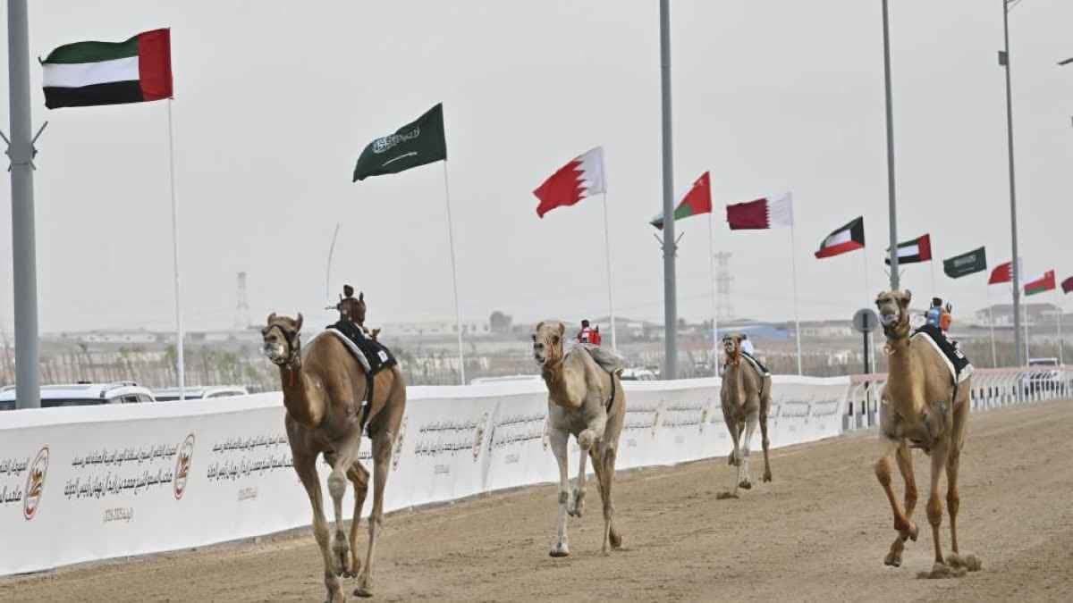 مثايل