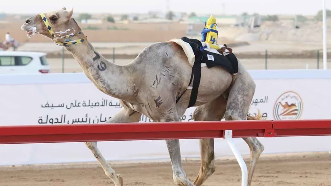 البراحة