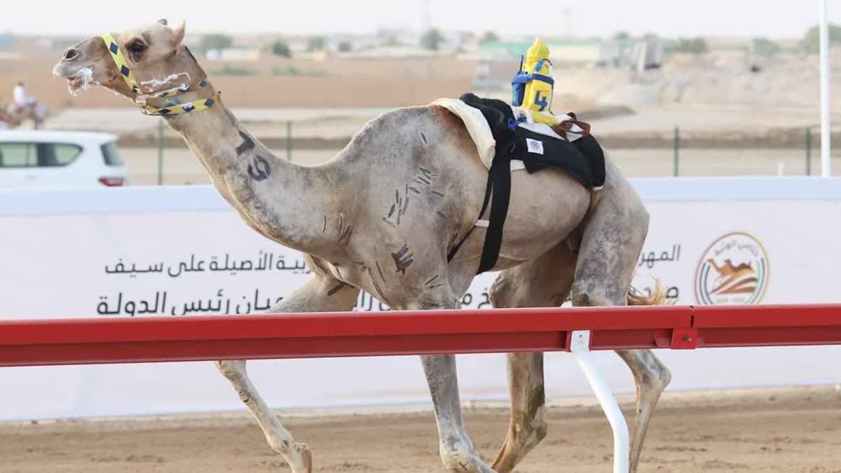 البراحة