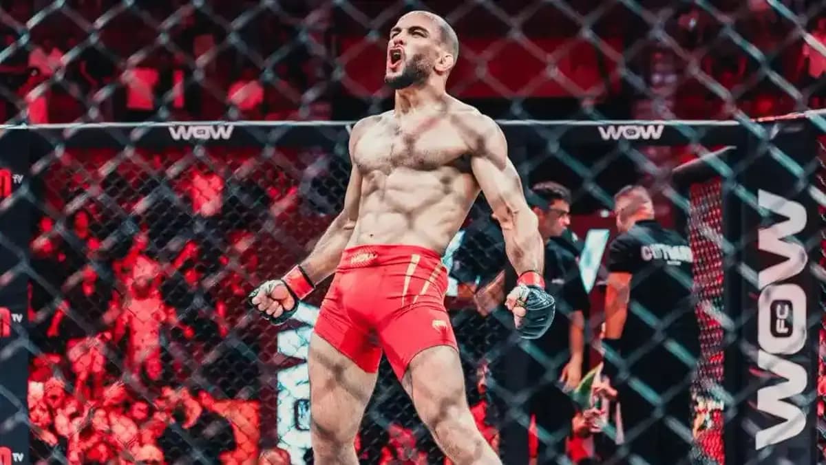 زي ماتشادو