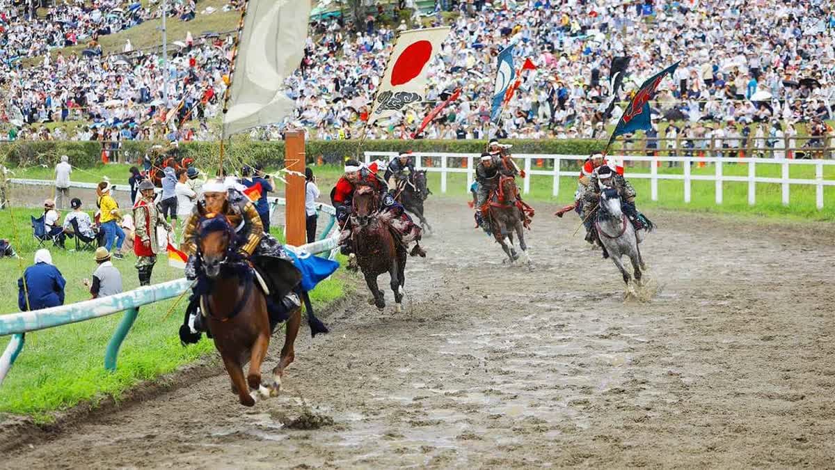 سباقات الخيل اليابانية