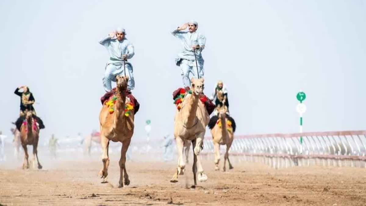 مهرجان الأبيض