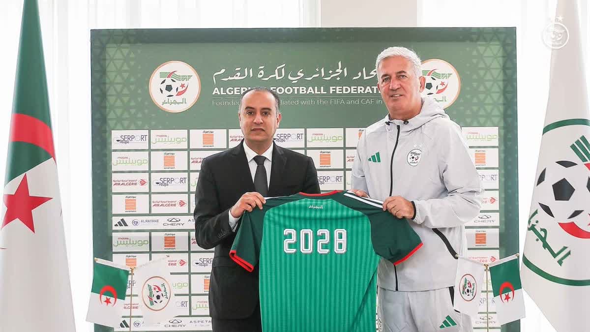 بيتكوفيتش