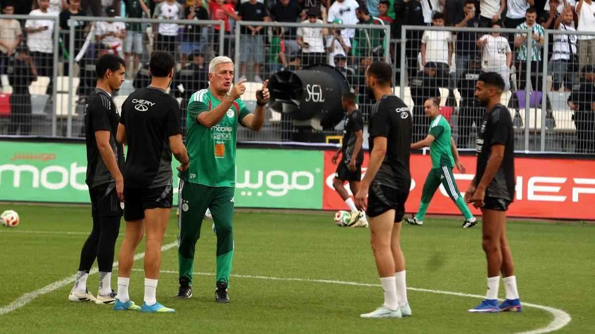 فلاديمير بيتكوفيتش