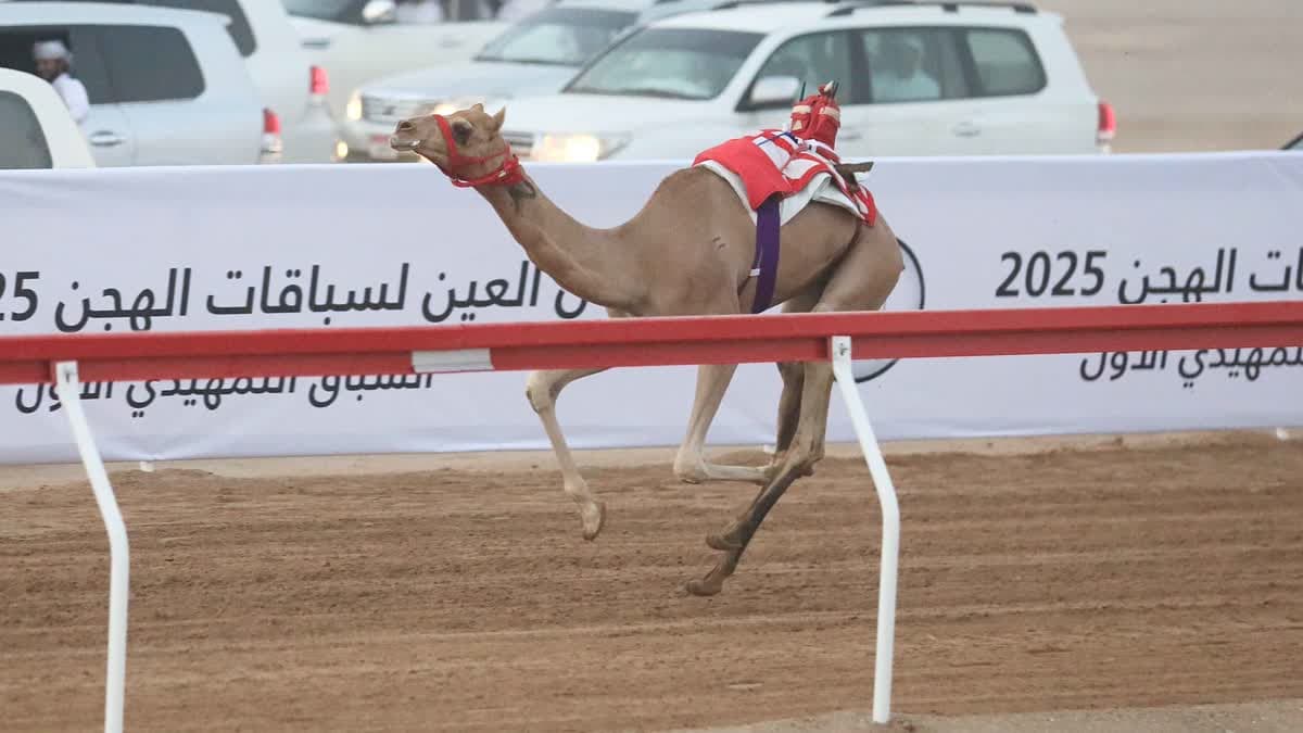 أفعال