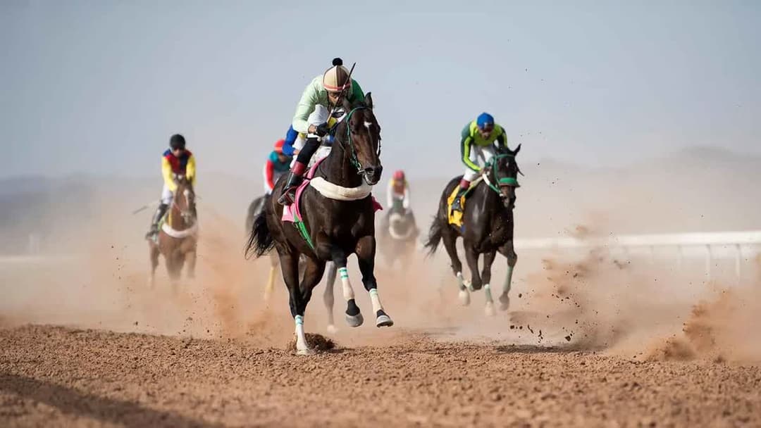سباق الخيل في الطائف