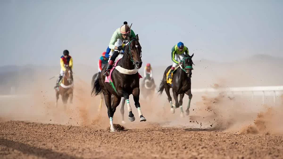 سباق الخيل في الطائف