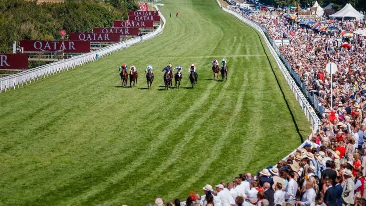 مهرجان قطر غودوود