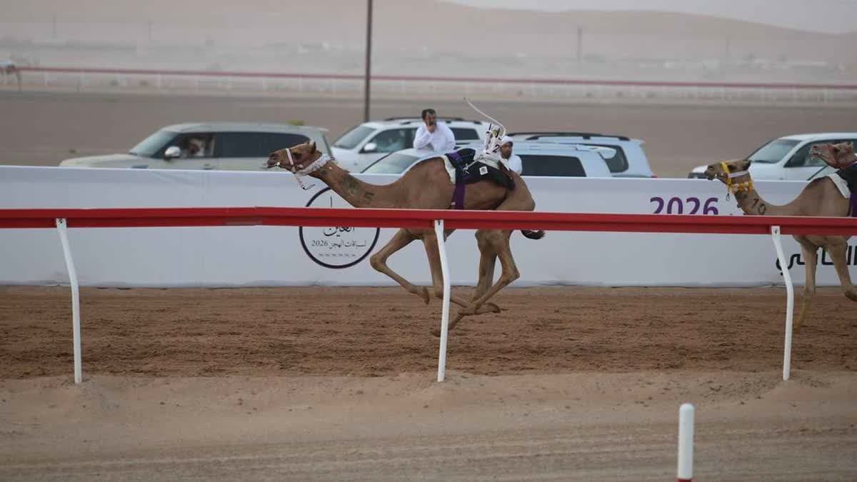 مهرجان العين