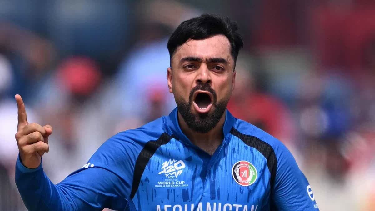راشد خان