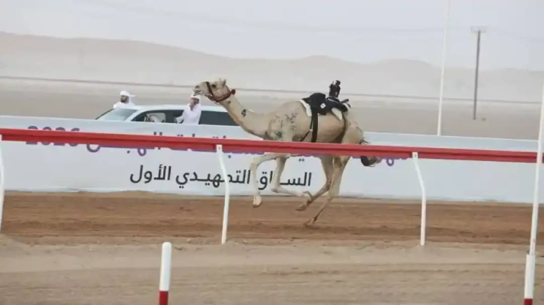 قزوين