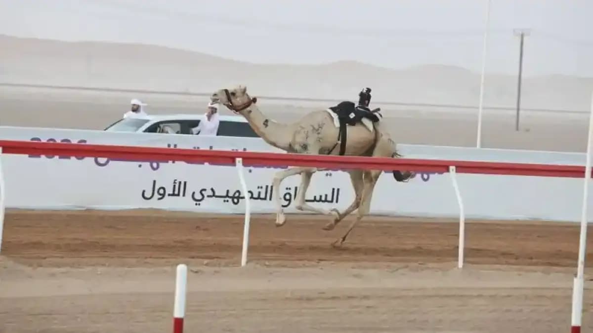 قزوين