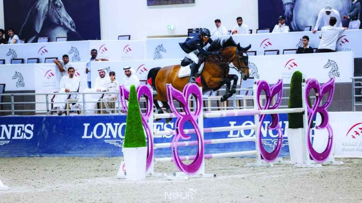 الفروسية