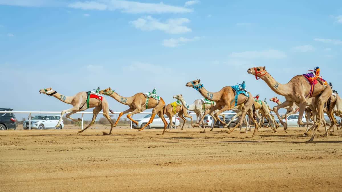 مهرجان ولي العهد