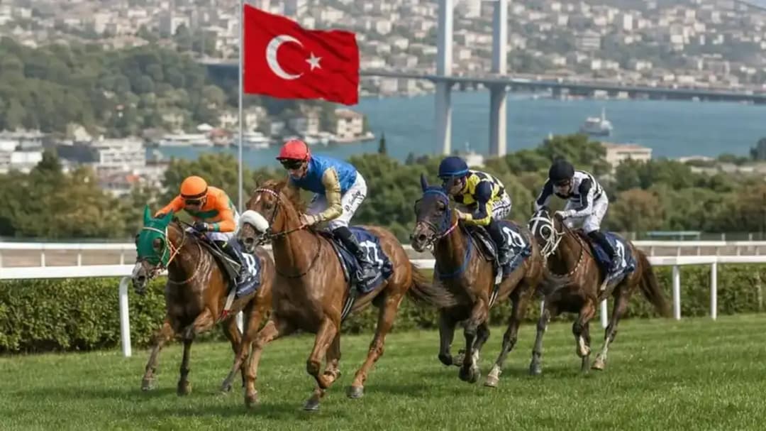 كأس رئيس الإمارات في إسطنبول