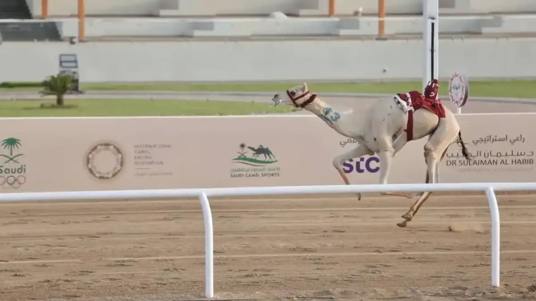 مهرجان ولي العهد