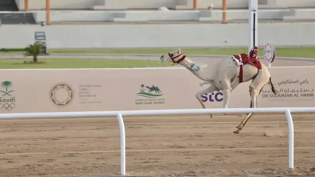 مهرجان ولي العهد