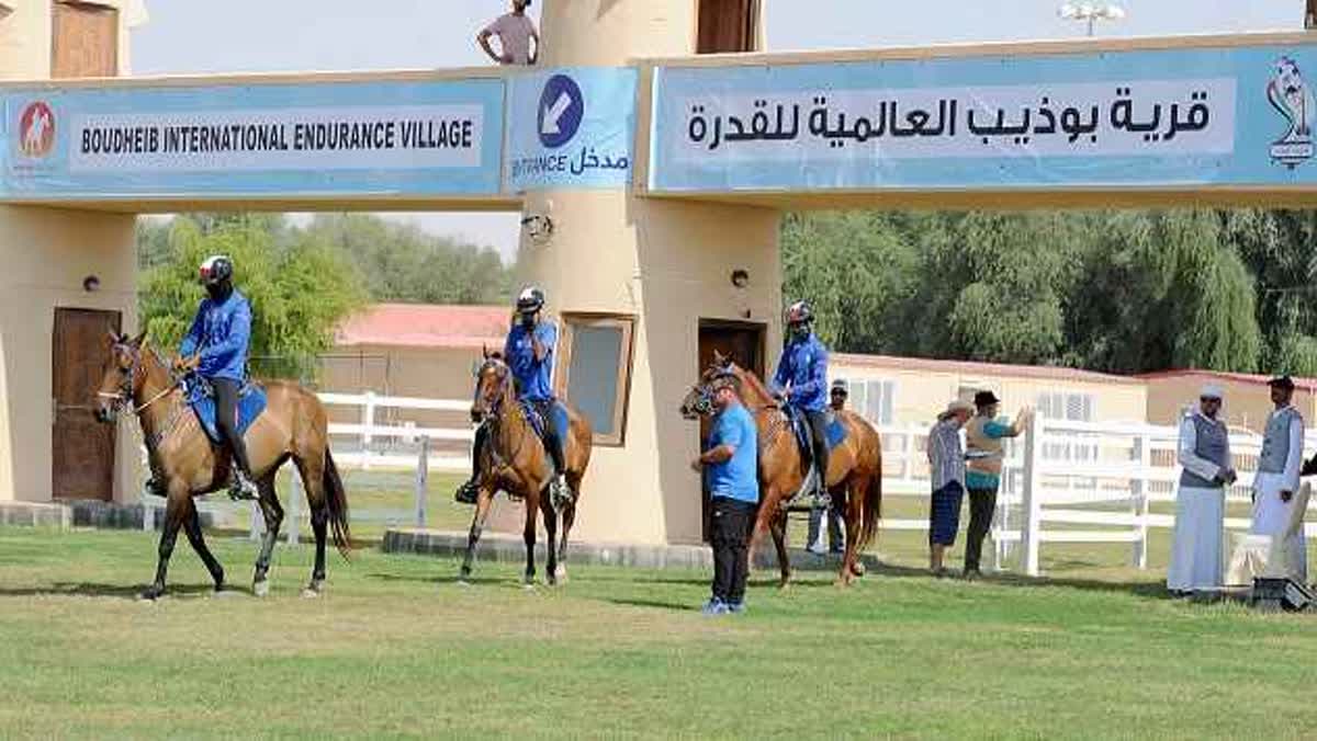 بطولة العالم للقدرة